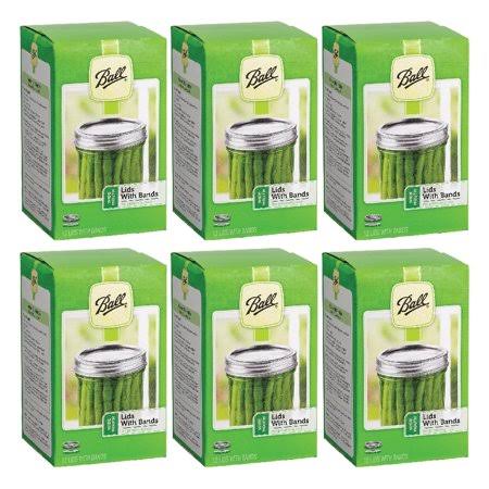 12 pk Wide Mouth Jar Lids and Bands G920