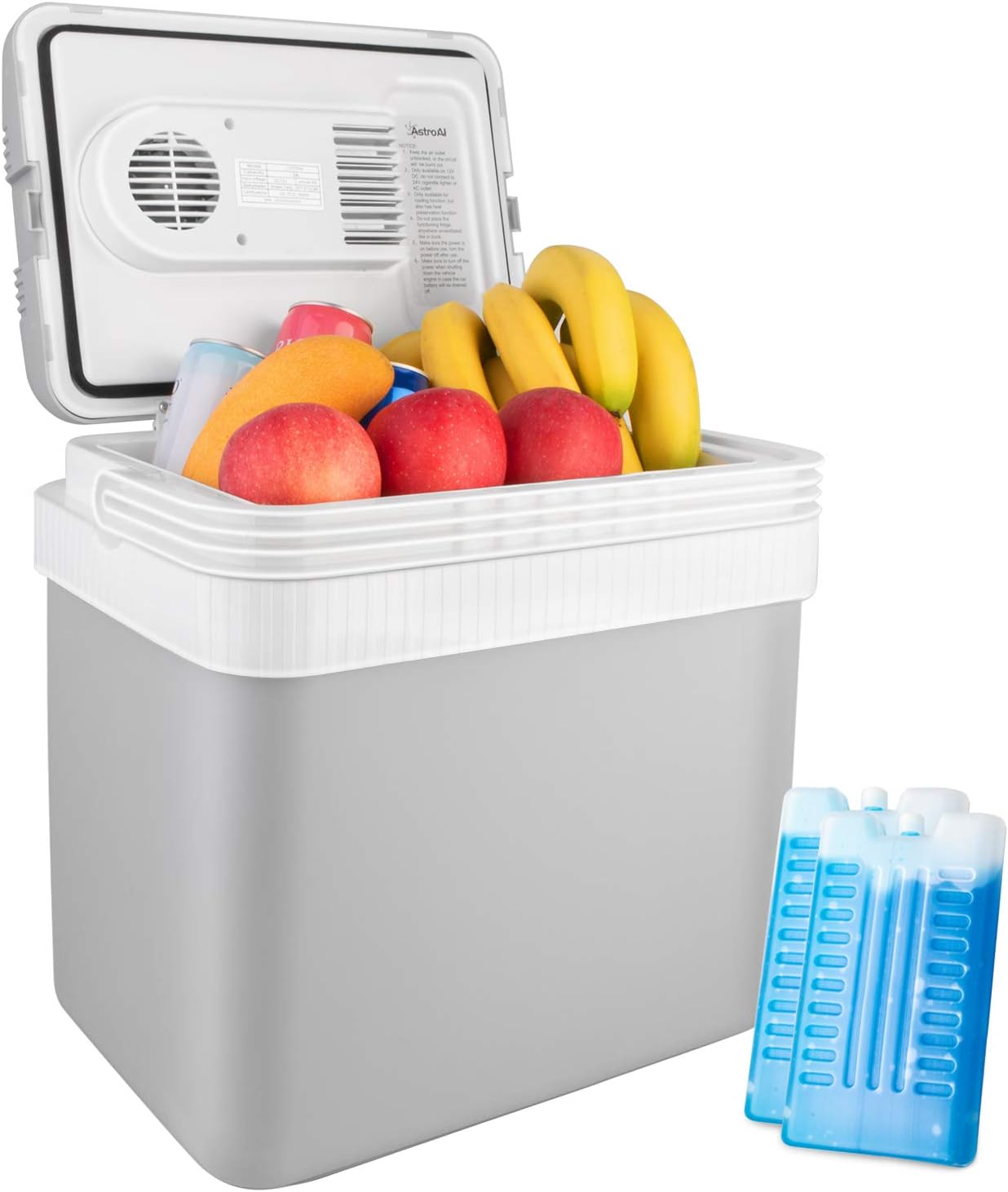 26 Quart 12V DC Portable Thermoelectric Car Cooler with 2 Ice Packs N676