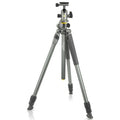 Alta Pro 2+ Tripod L73989