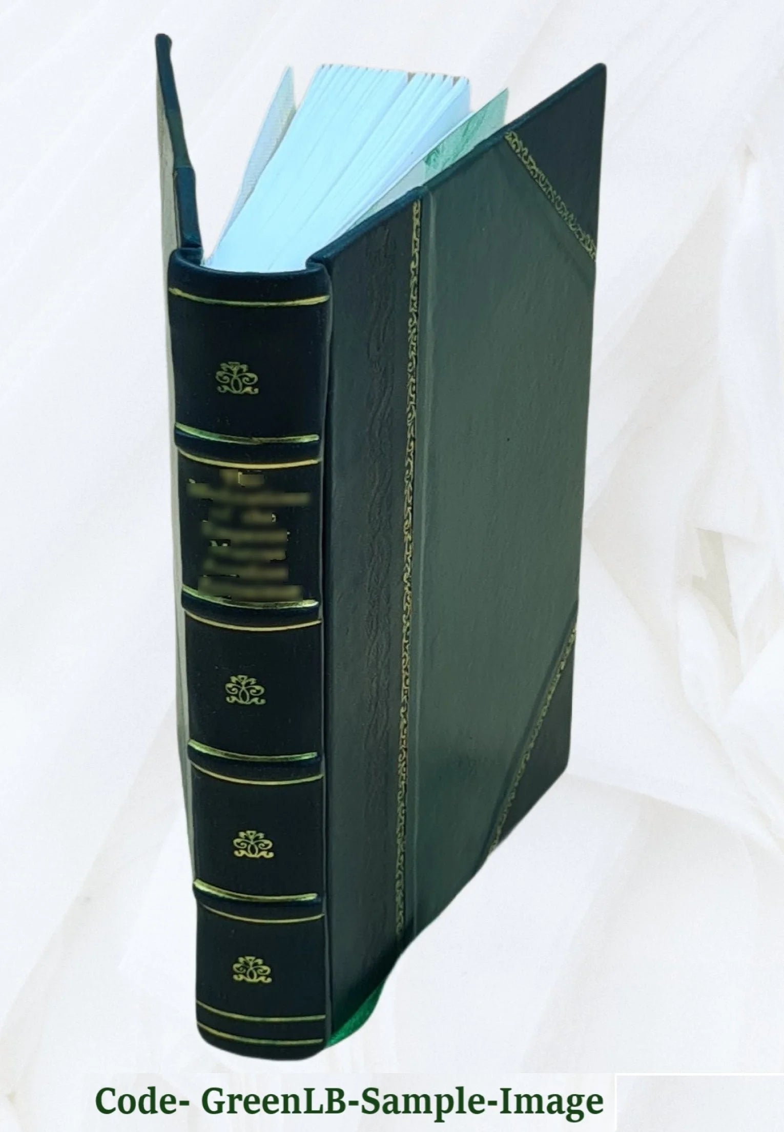 Western grazing grounds and forest ranges; a history of the live-stock industry as conducted on the open ranges of the arid West P212