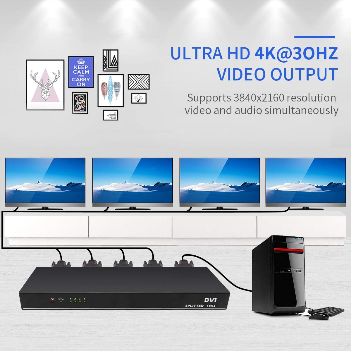 DVI Splitter 1 in 4 Out D1120