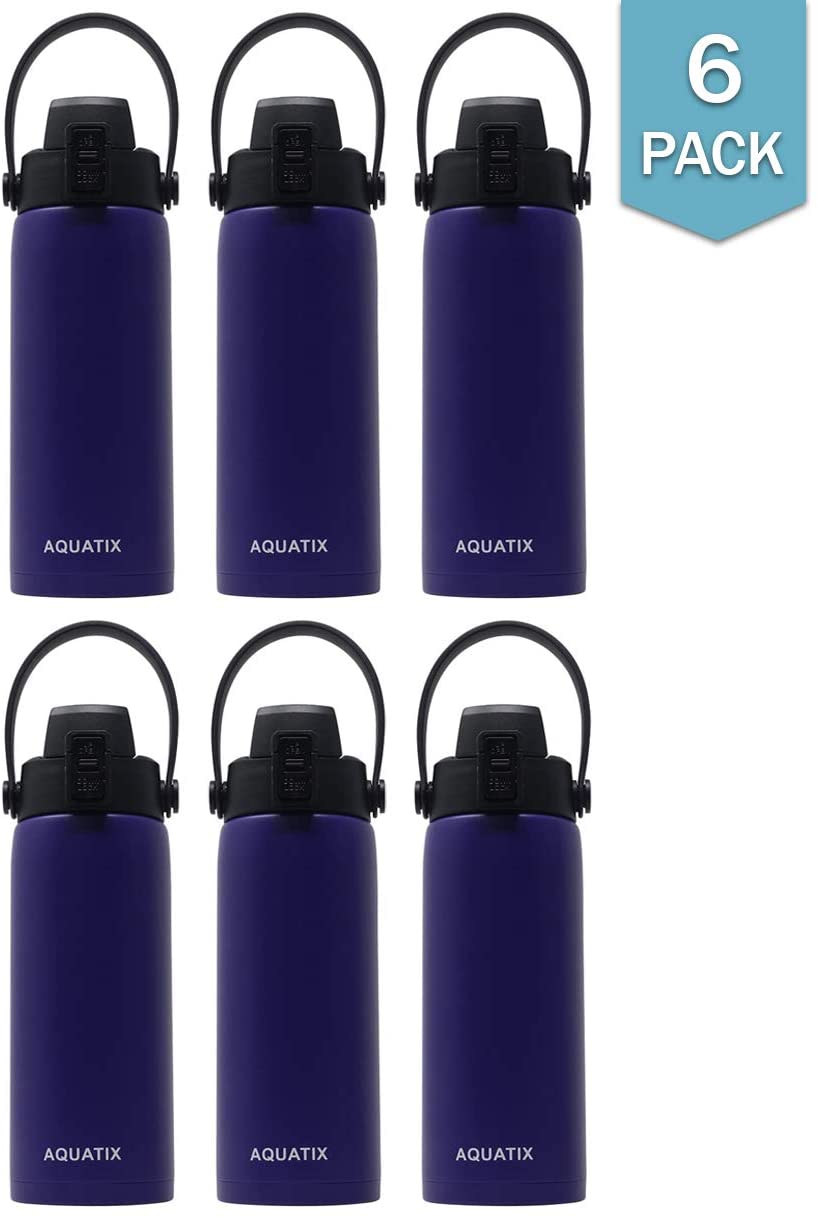 6-Pack Purple 21 Ounce Stainless Steel Double Wall Insulated Sports Water Bottle Y652289