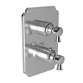 French Gold Square Thermostatic Trim Plate with Handle I29469