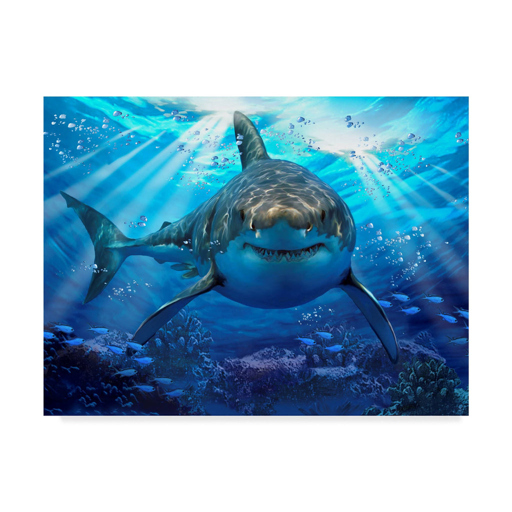 Canvas Art (32 in. W x 24 in. H) G562