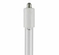 25W Replacement Bulb K135418