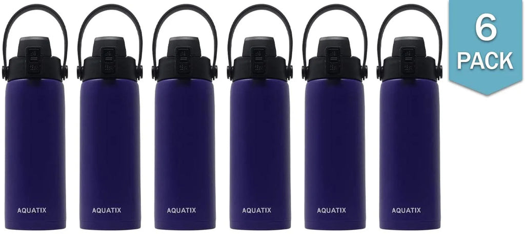 6-Pack Purple 21 Ounce Stainless Steel Double Wall Insulated Sports Water Bottle Y652289