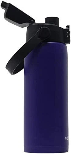 6-Pack Purple 21 Ounce Stainless Steel Double Wall Insulated Sports Water Bottle Y652289