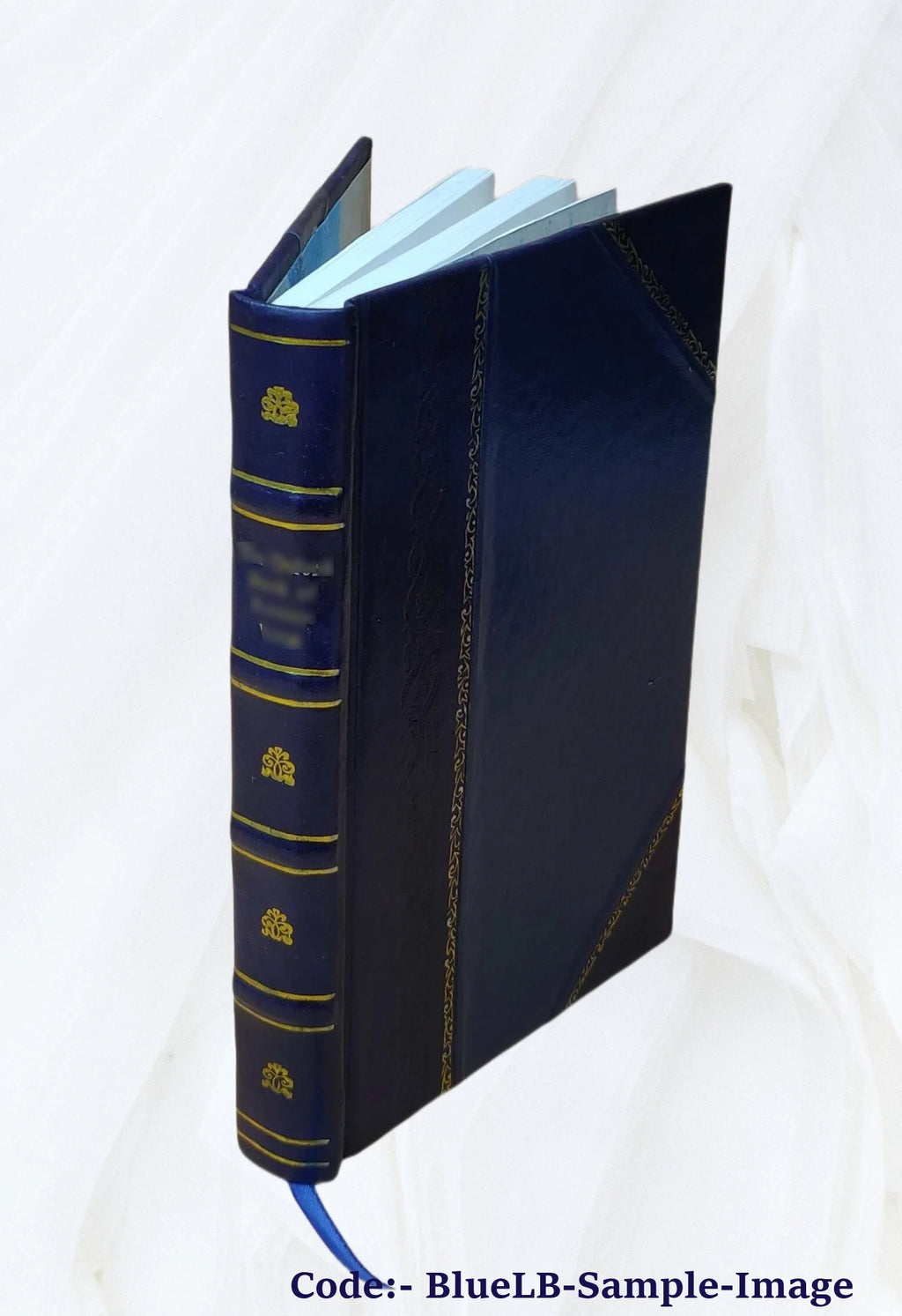 Leather Bound Book V5915
