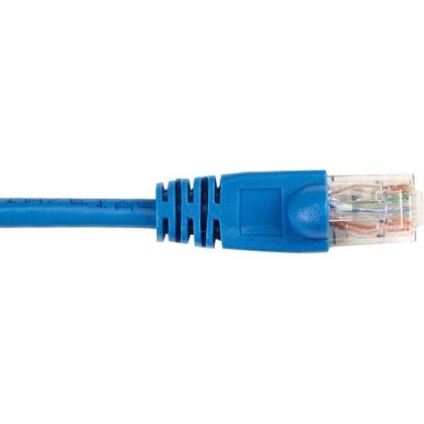 Blue 5-ft Cat6 Patch Cable 25-Pack P7717