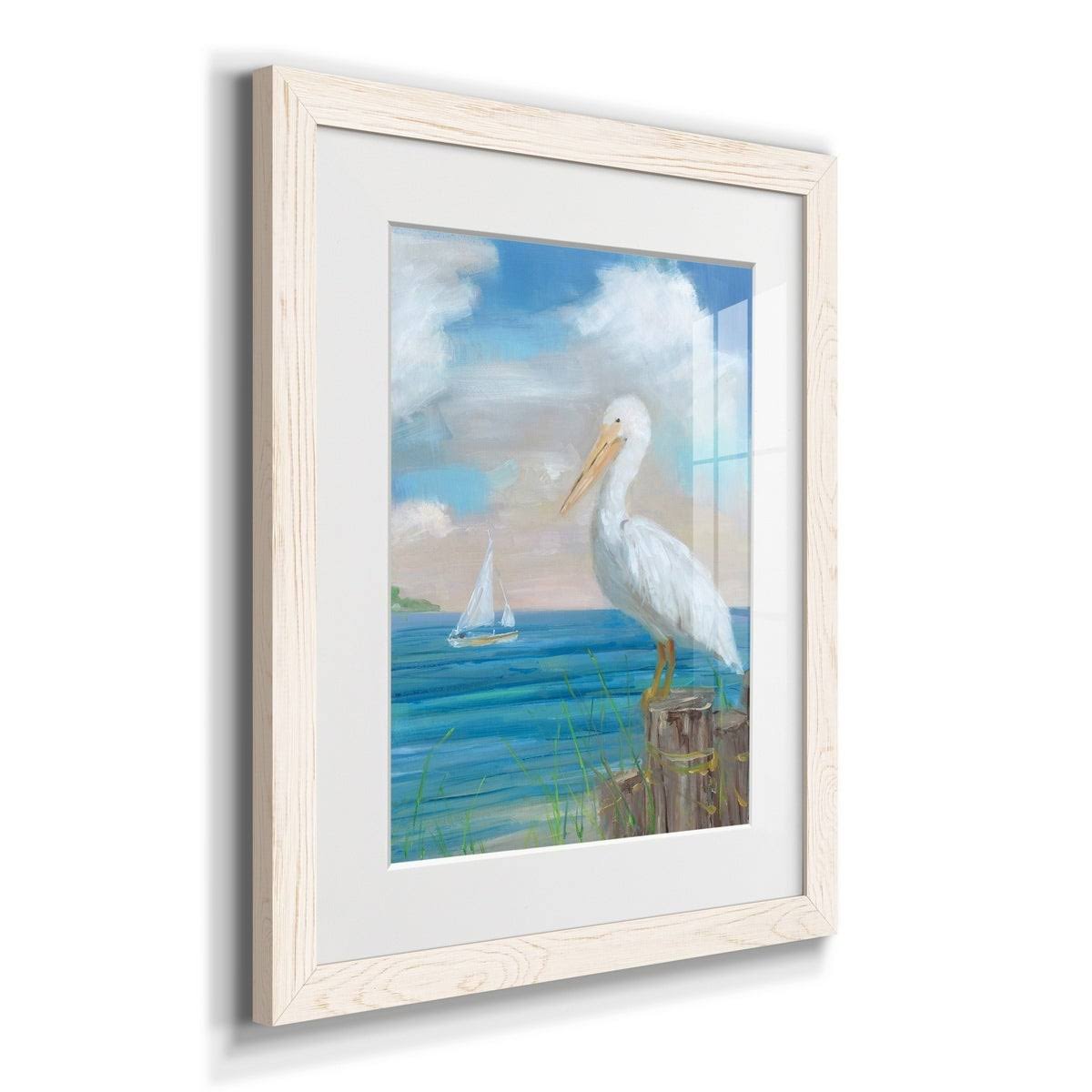 Maple Framed Print V44790