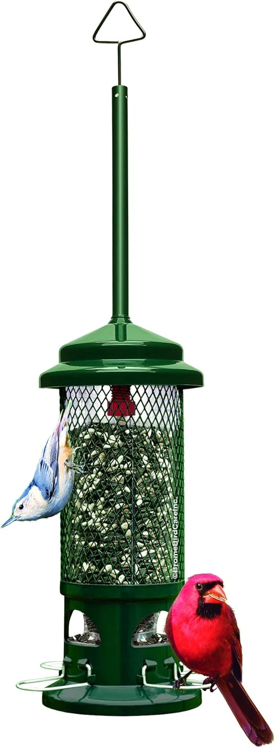 Squirrel-proof Bird Feeder with 4 Metal Perches, Pack of 2 F770030