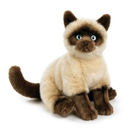 White Medium Siamese Cat W498