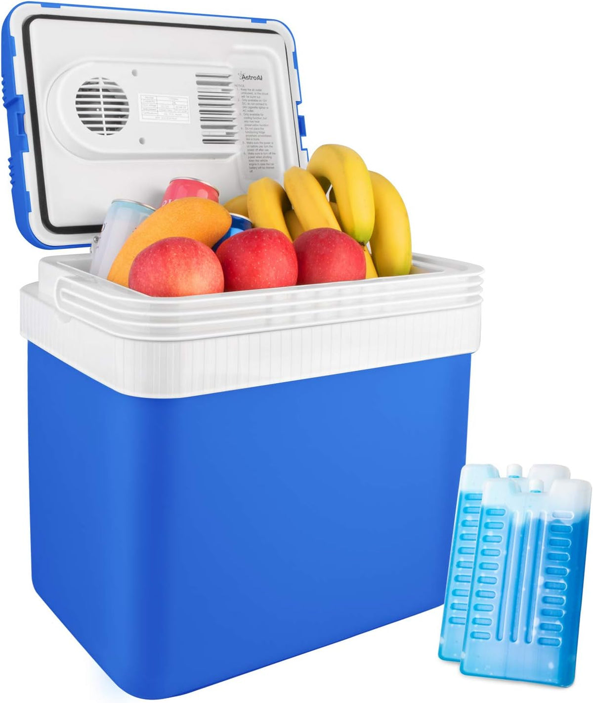 26 Quart 12V DC Portable Thermoelectric Car Cooler with 2 Ice Packs N676