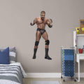 Giant Removable Wall Decal P7085