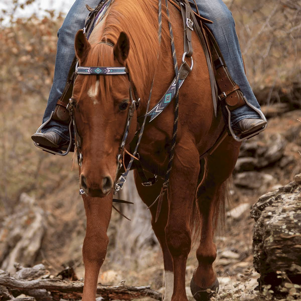 Beaded Browband Headstall C4784