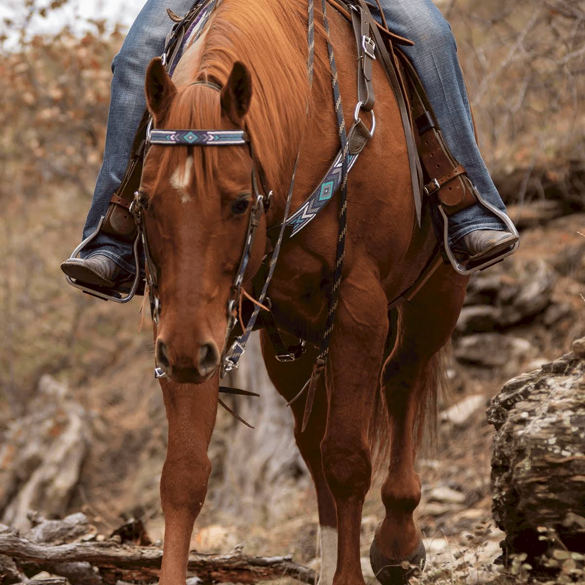 Beaded Browband Headstall C4784
