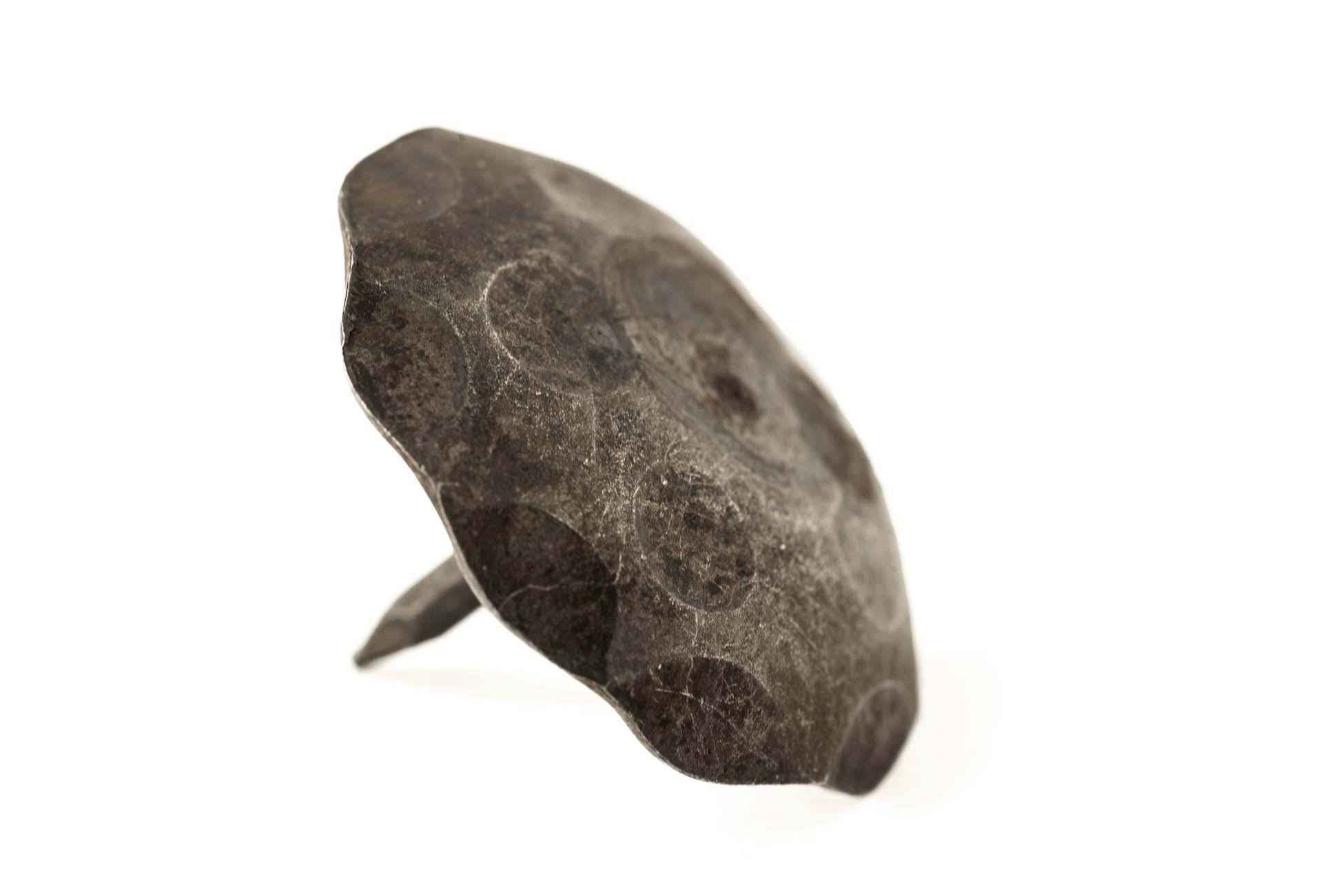 1.5x22 Round Iron Decorative Nail Clavos J8538