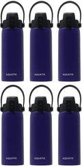 6-Pack Purple 21 Ounce Stainless Steel Double Wall Insulated Sports Water Bottle Y652289