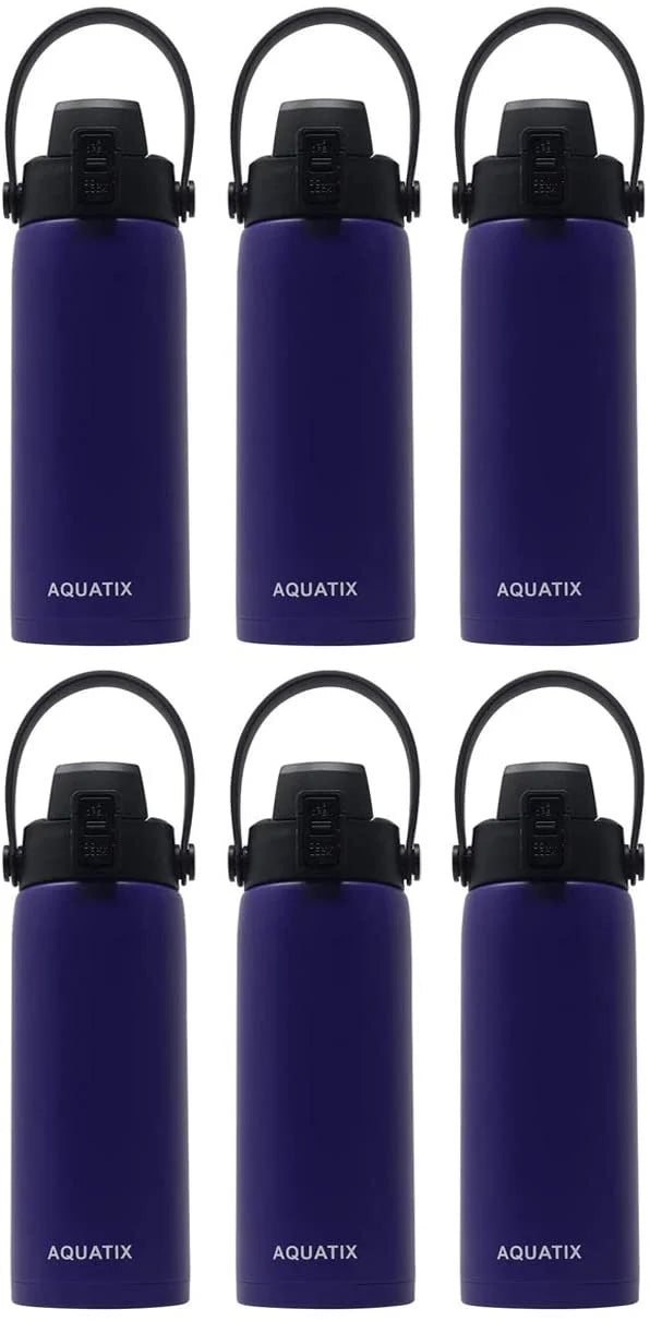 6-Pack Purple 21 Ounce Stainless Steel Double Wall Insulated Sports Water Bottle Y652289