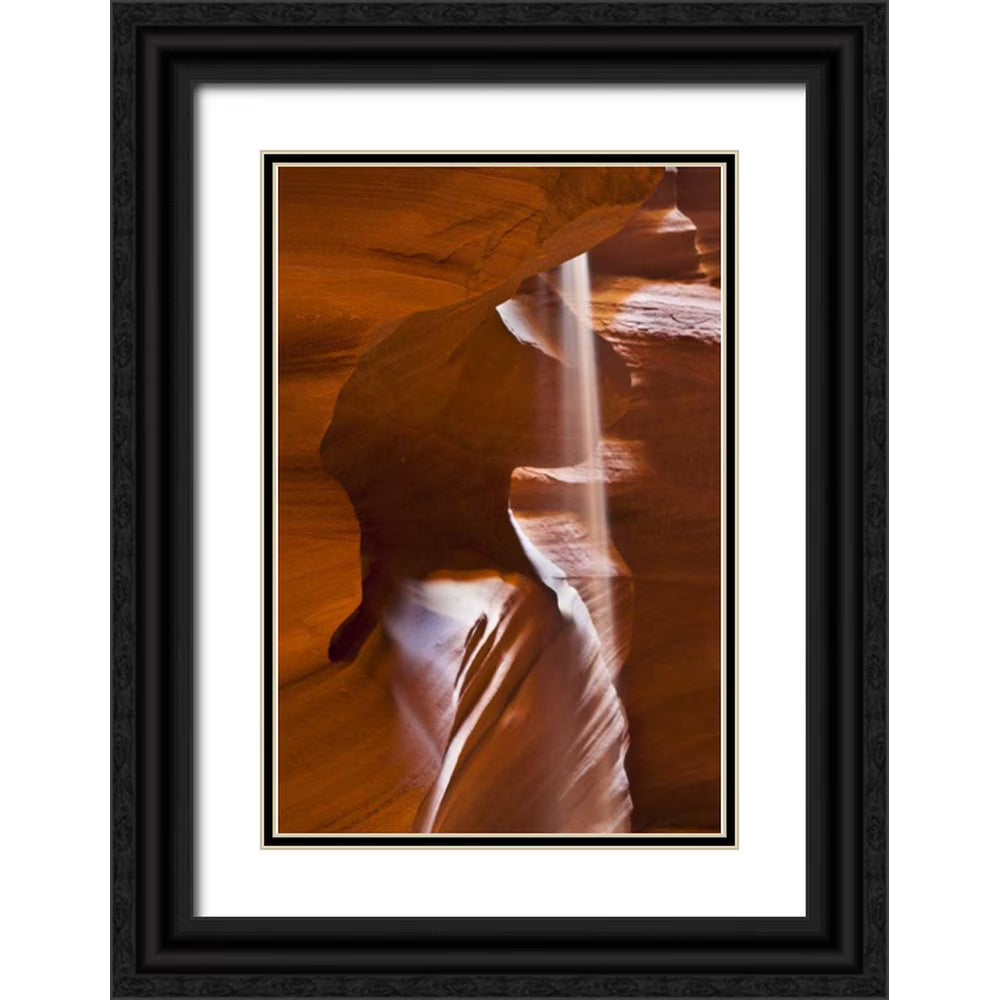 Black Ornate Wood Framed Museum Art Print F1297