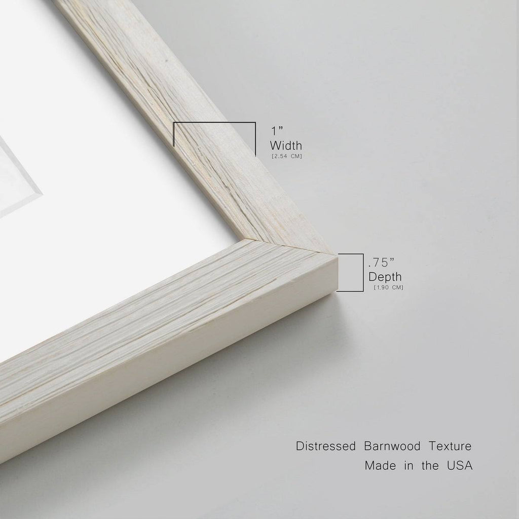 Maple Framed Print V44790