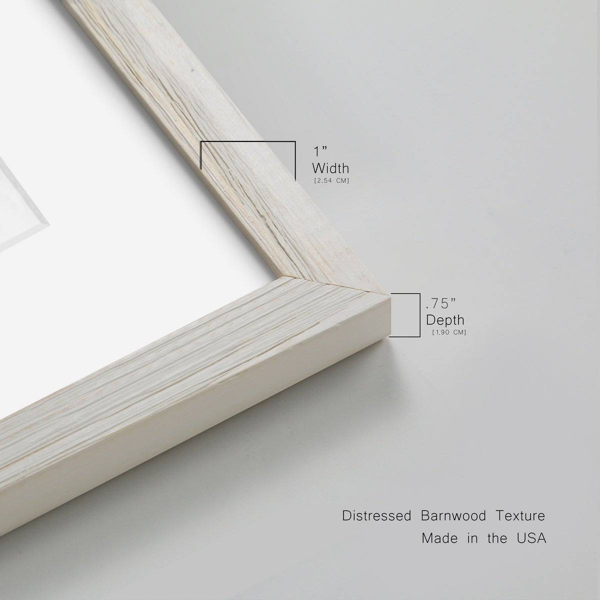Maple Framed Print V44790