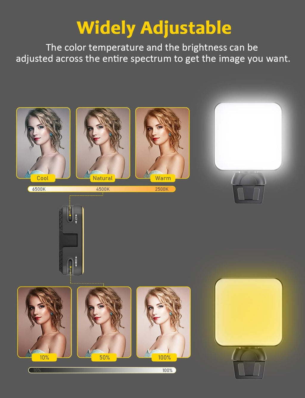 Dimmable Rechargeable Video Conference Lighting Kit with Webcam Style Clip B10891
