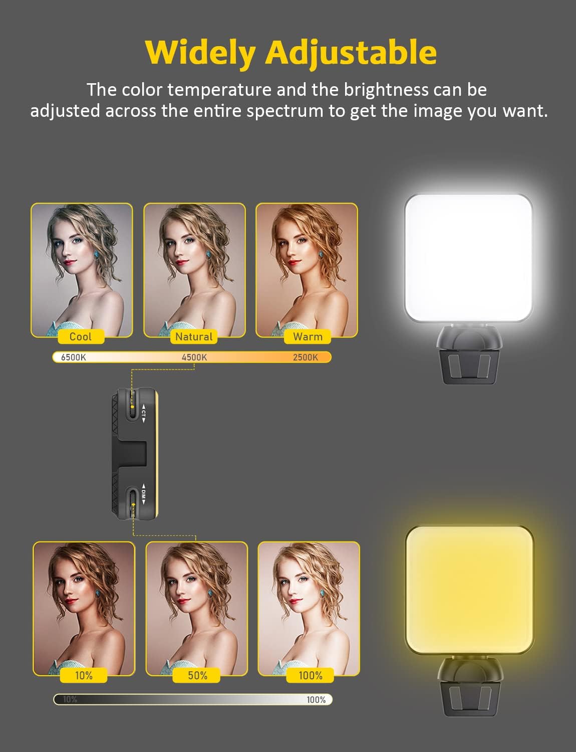 Dimmable Rechargeable Video Conference Lighting Kit with Webcam Style Clip B10891
