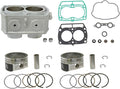 Standard Bore Cylinder Kit for Polaris RZR S 800 UTV S5108